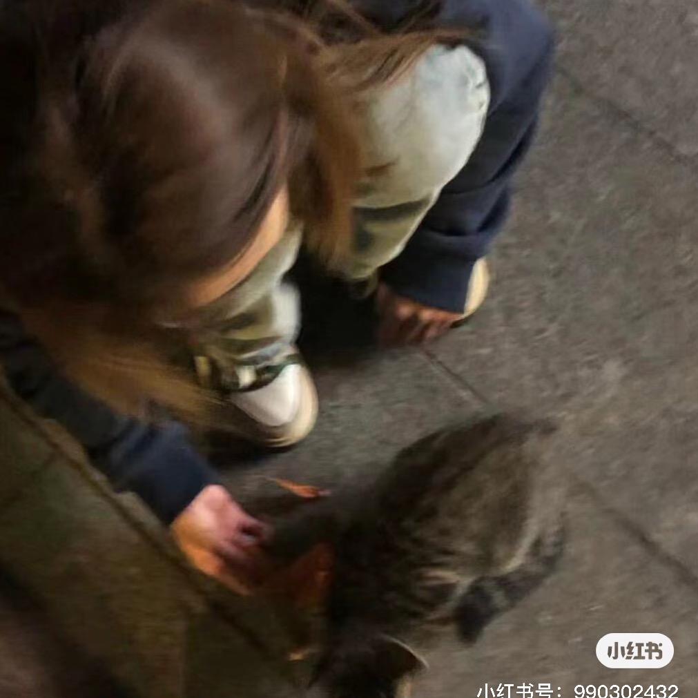黑加仑.
