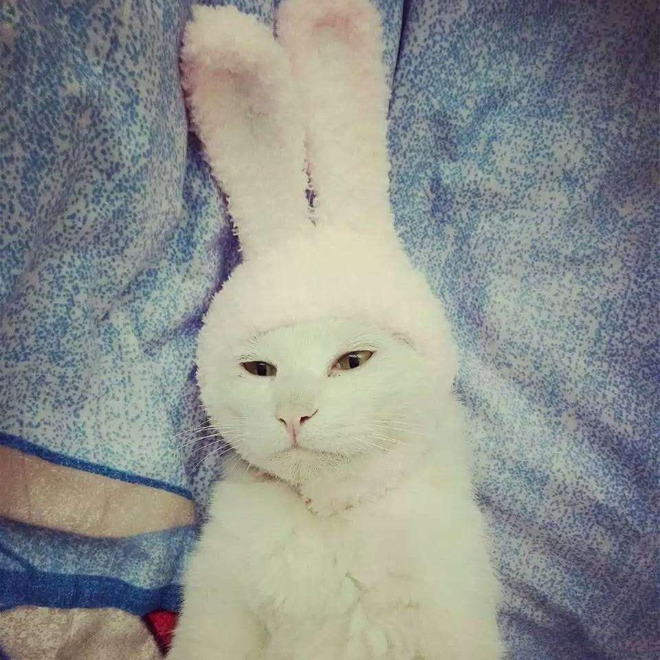 和田摄影师-春风