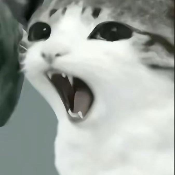 鸢小鸟ovo（谁推荐亲谁