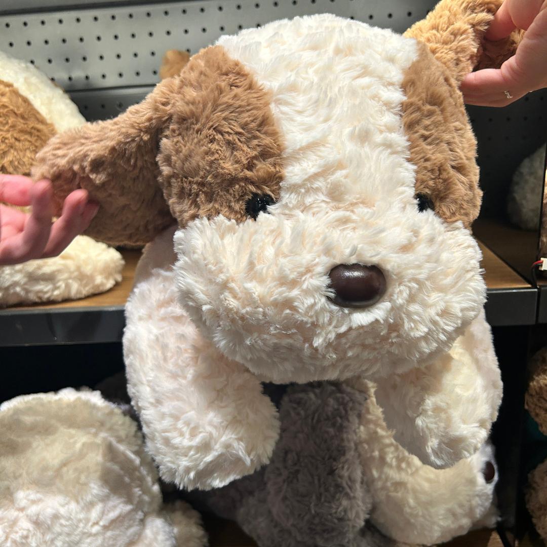 吃不到饭就发疯