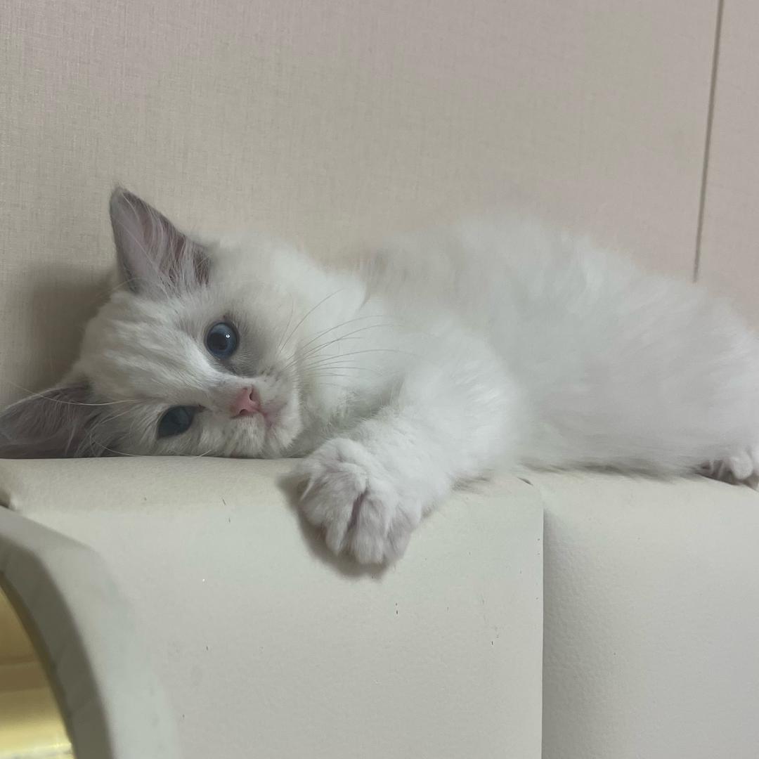 爱财小元宝♥̶ﮩ