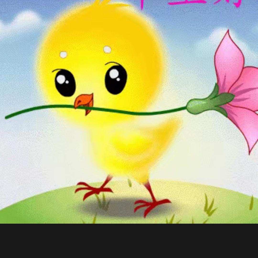 cicy