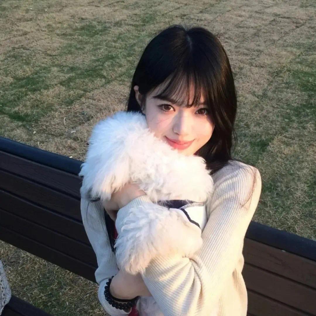 羊小猫