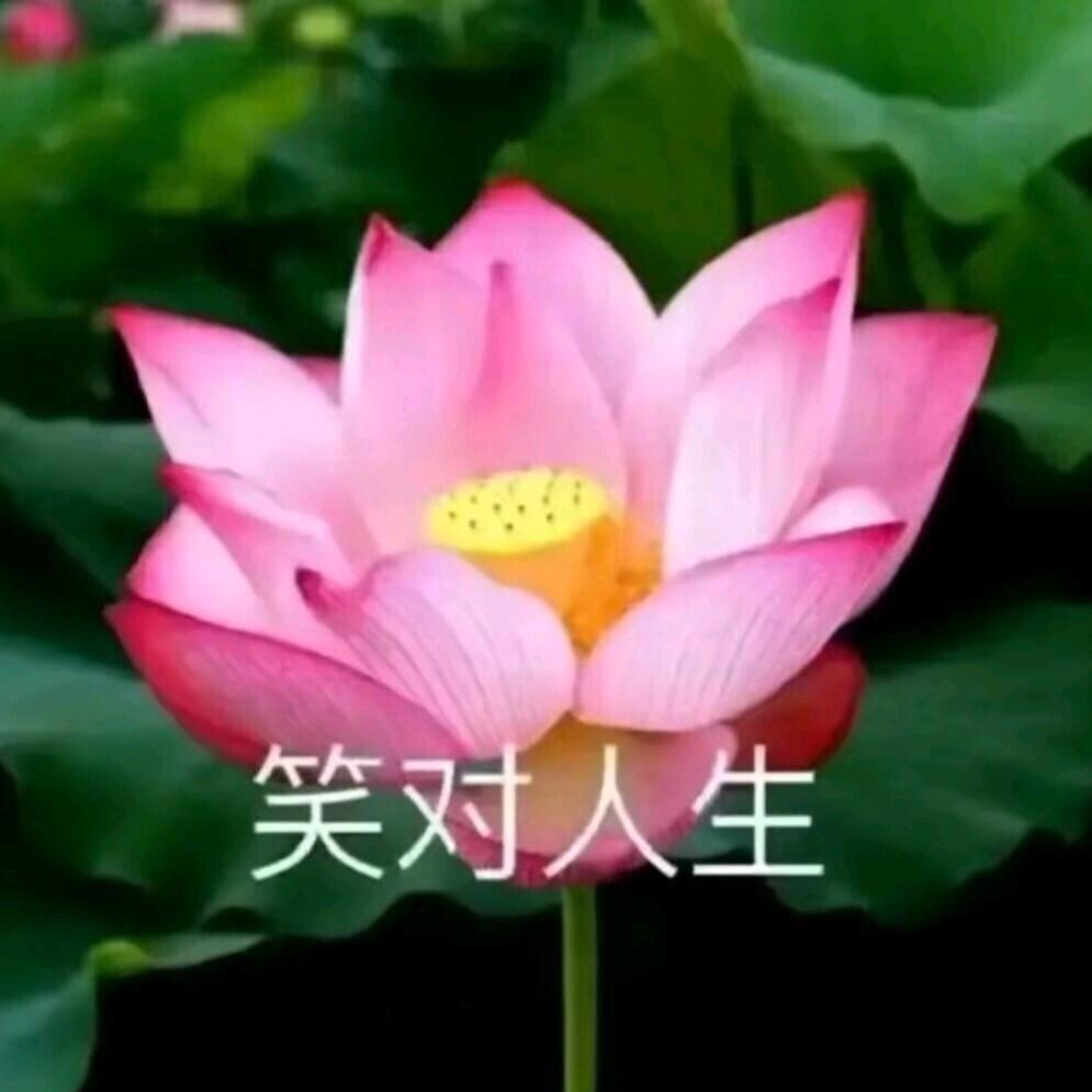 拿的起放的下