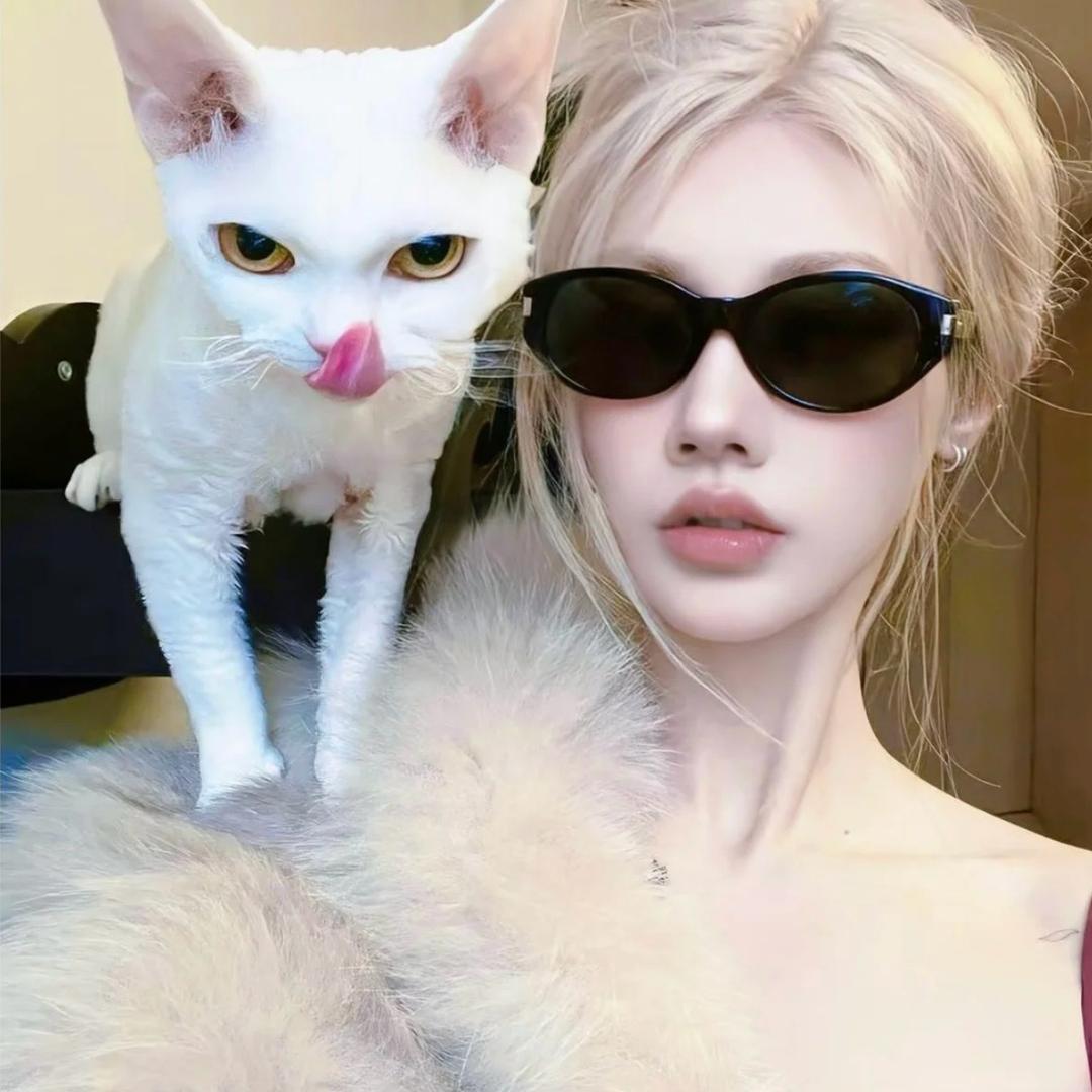 鲸木🫧