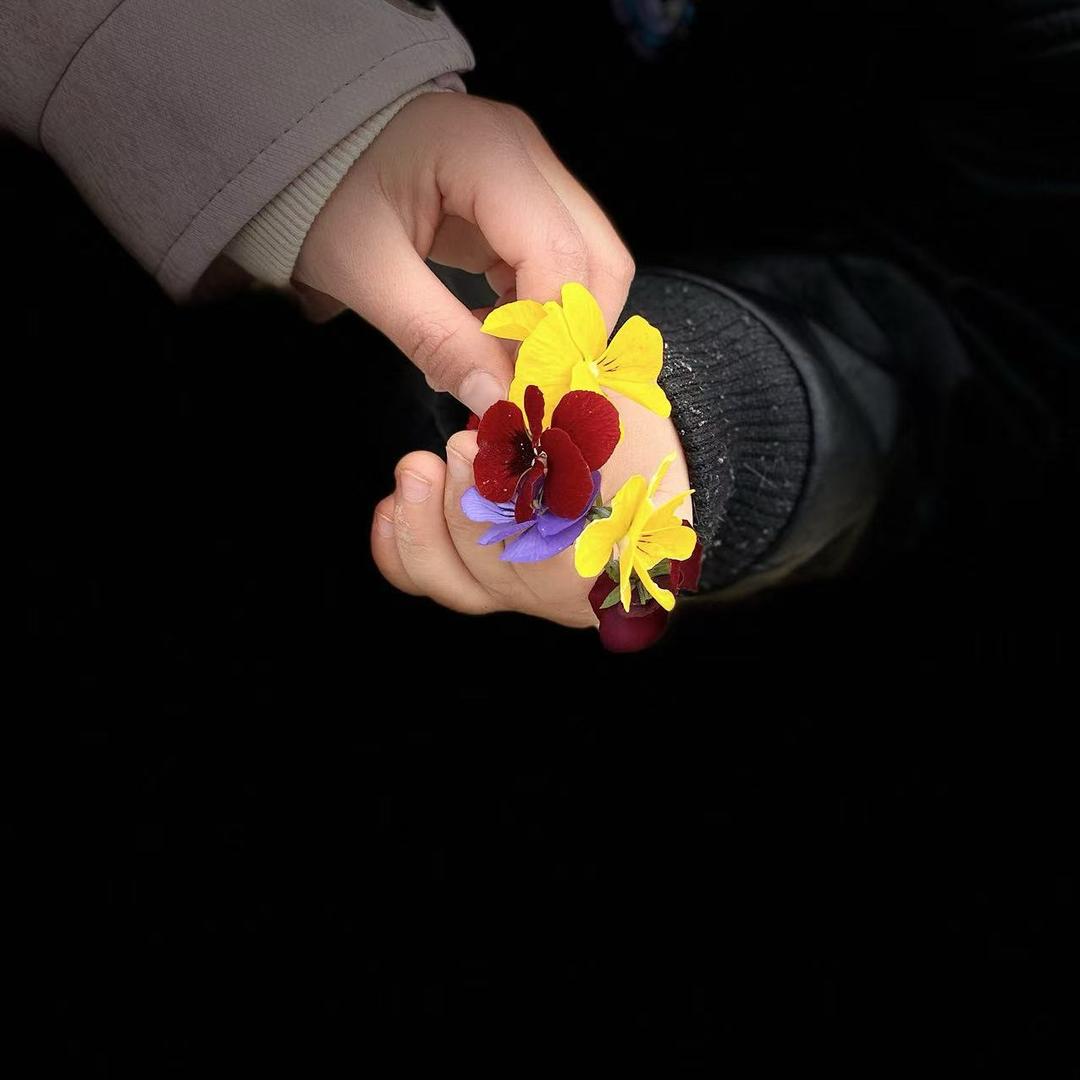 妍妍妍