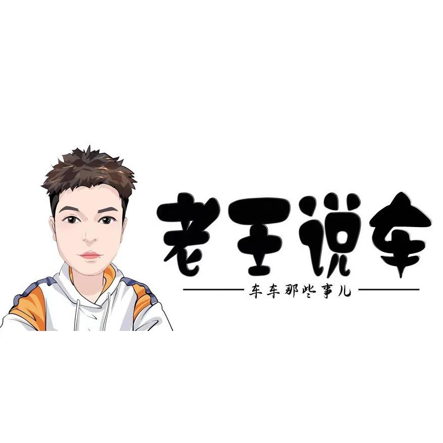 邵东市老王说车汽车销售有限公司
