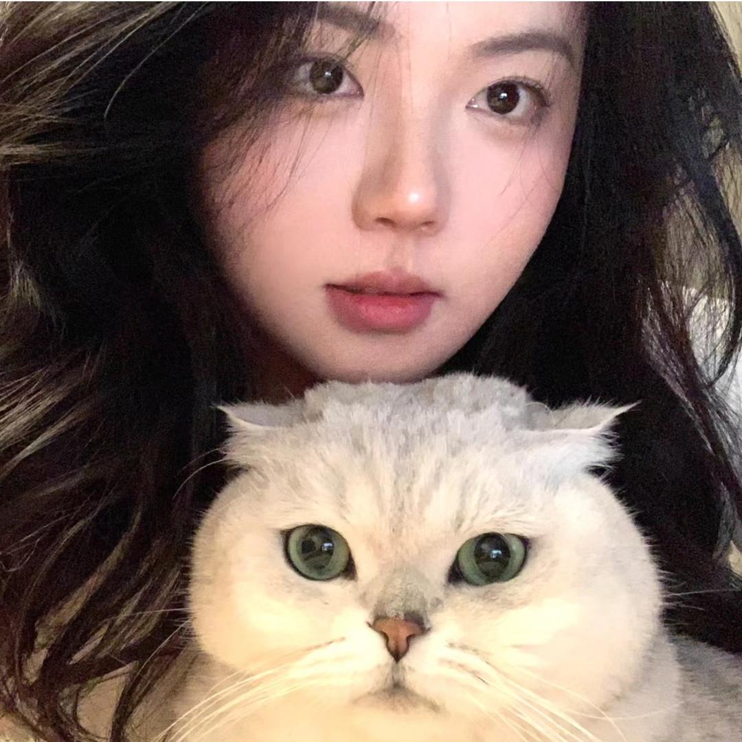 甜心芒