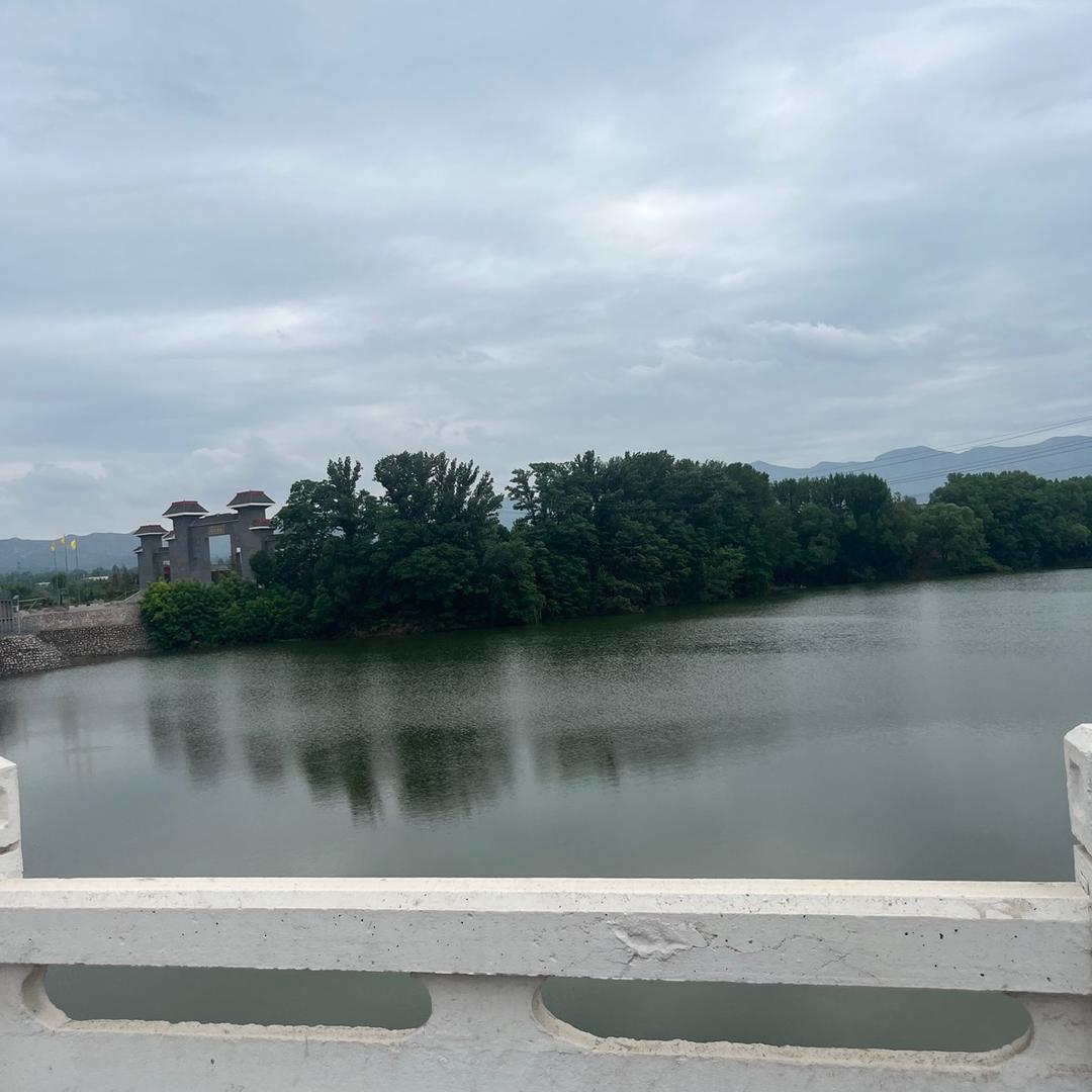 霸气你李总