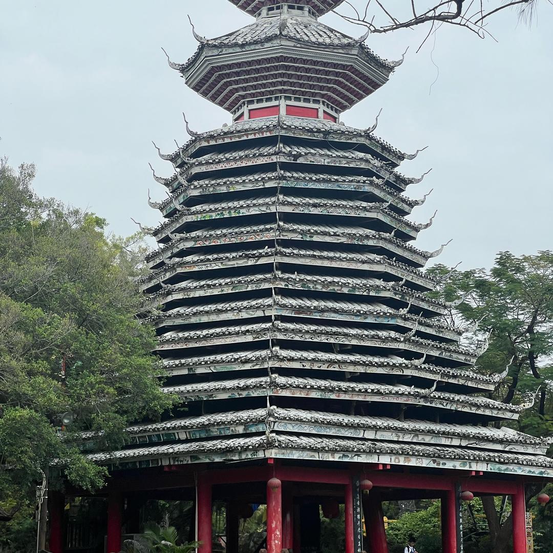 小毛绿色（已瘦10斤）