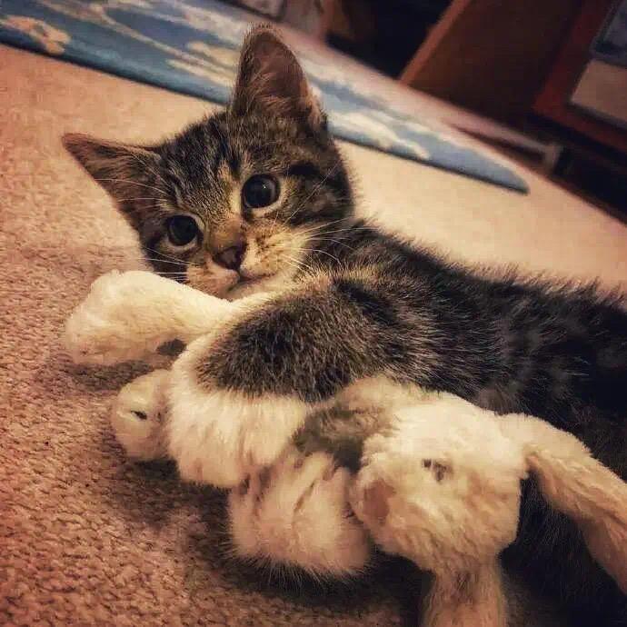 zZ