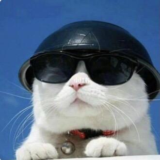 AAA专跑国道申师傅