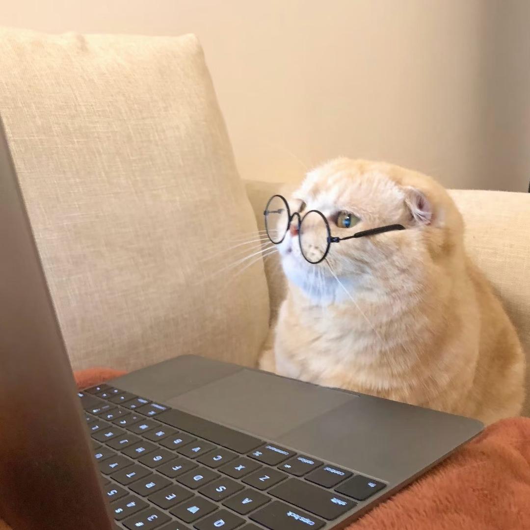 유유