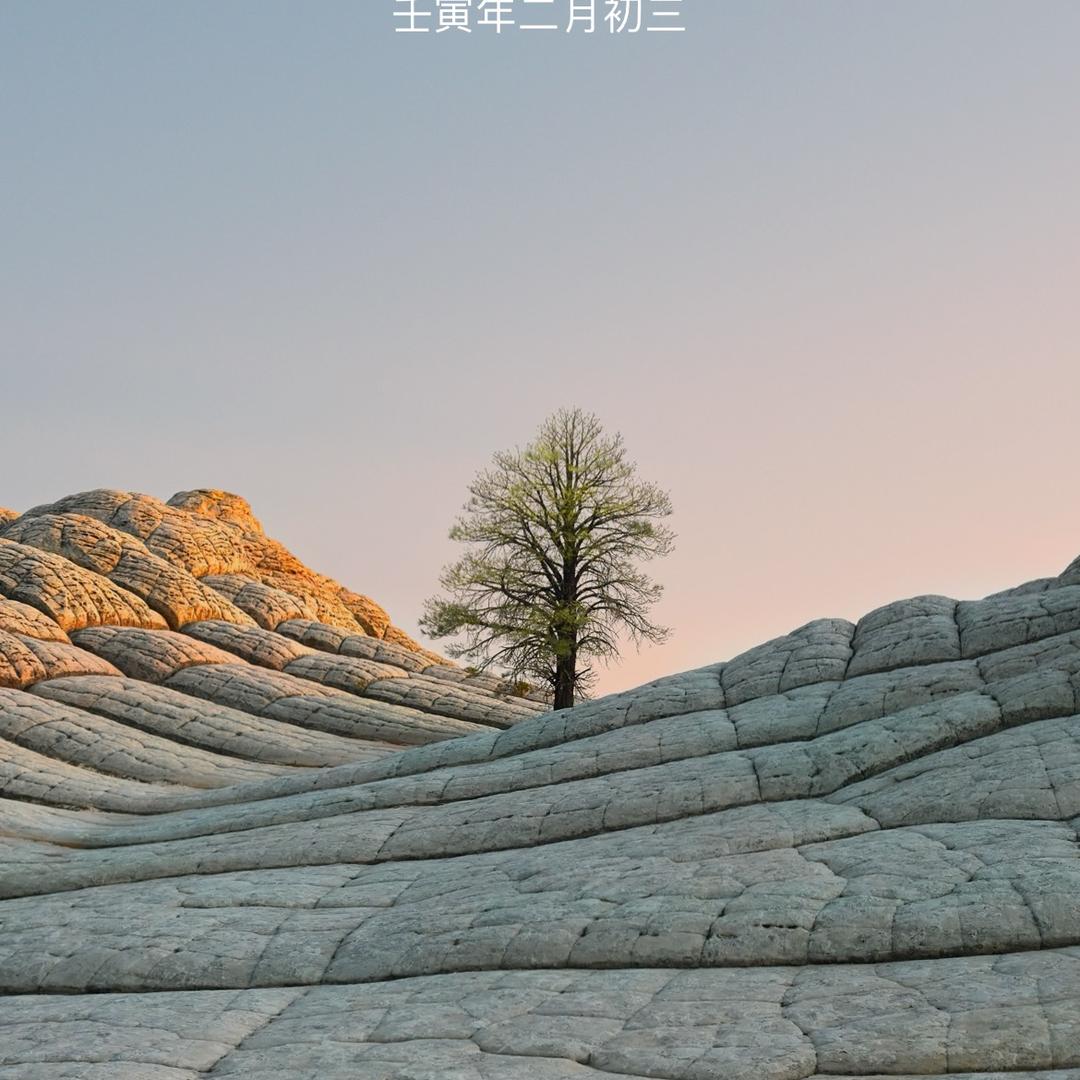 皇上来了