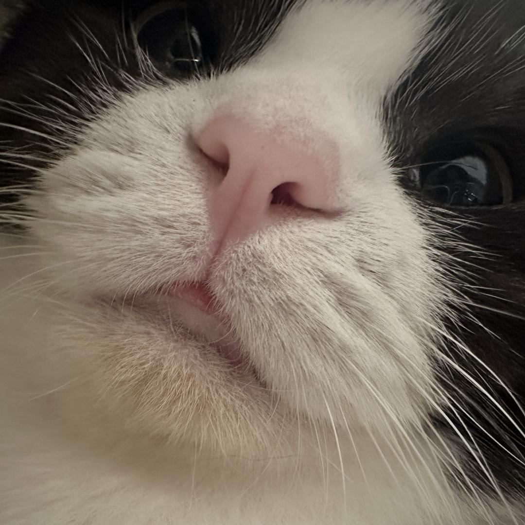 别说了我不想听