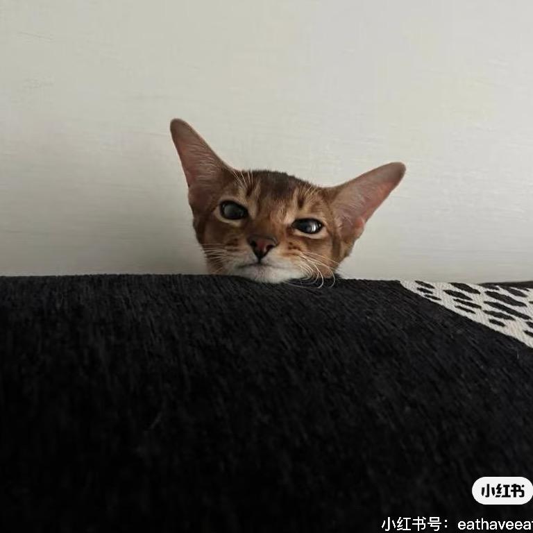 李北