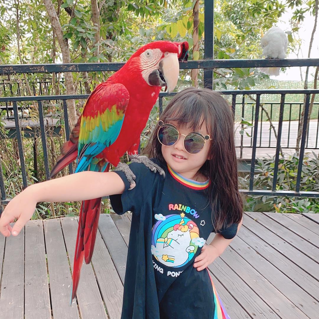 独立英语老师Zelda