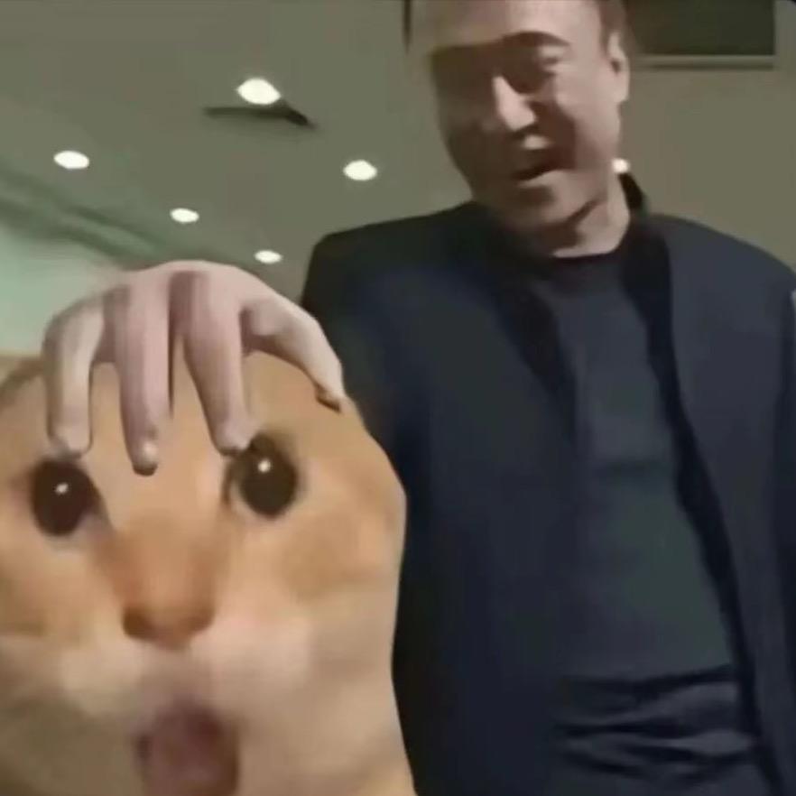 鹏飞教练水友赛(王者荣耀）