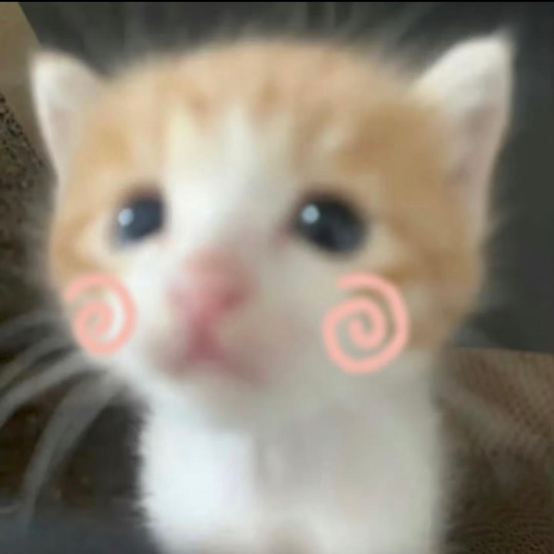 惜沫🐾