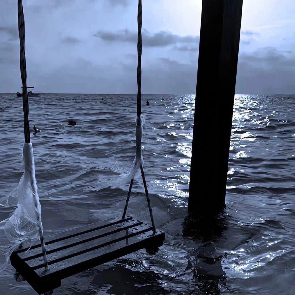 不爱运动的小.Y