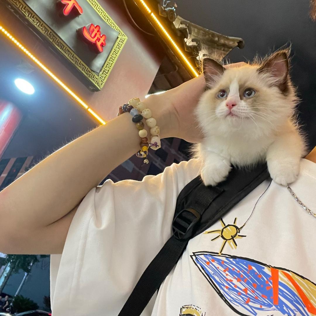 我会玩蛇哦