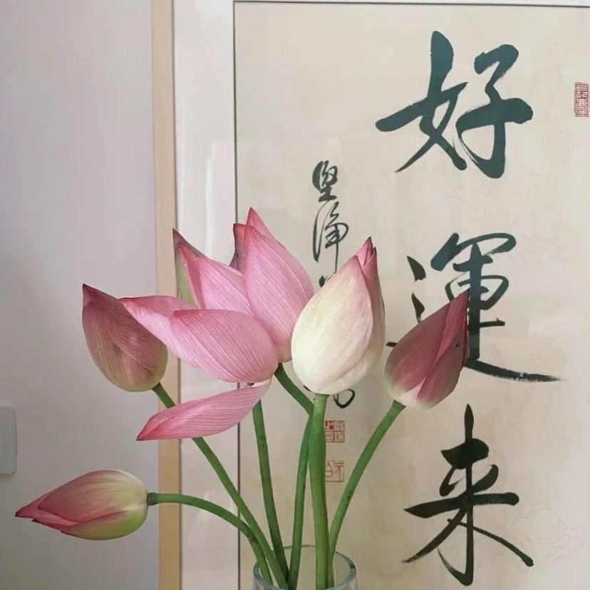 暖暖🌻