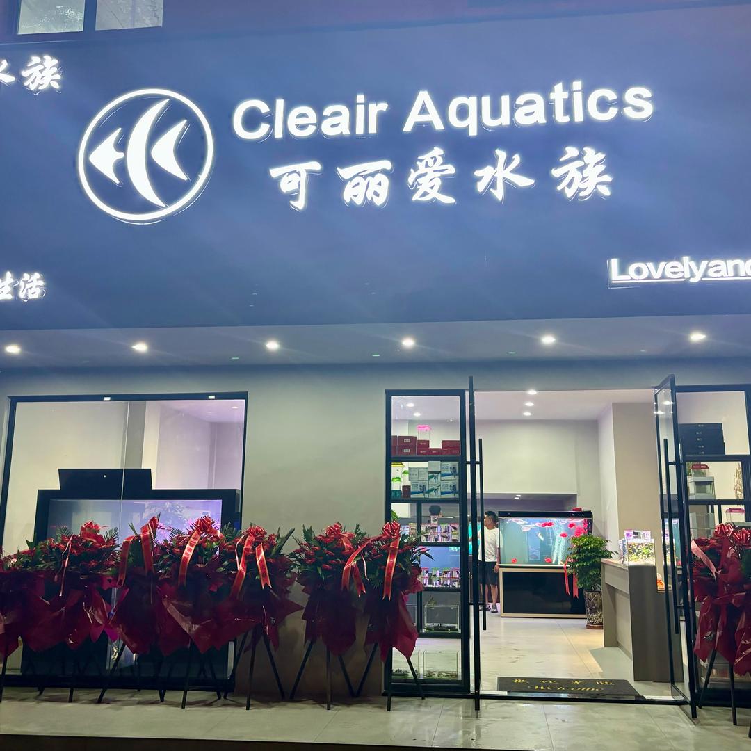 瑞金可丽爱水族🐠