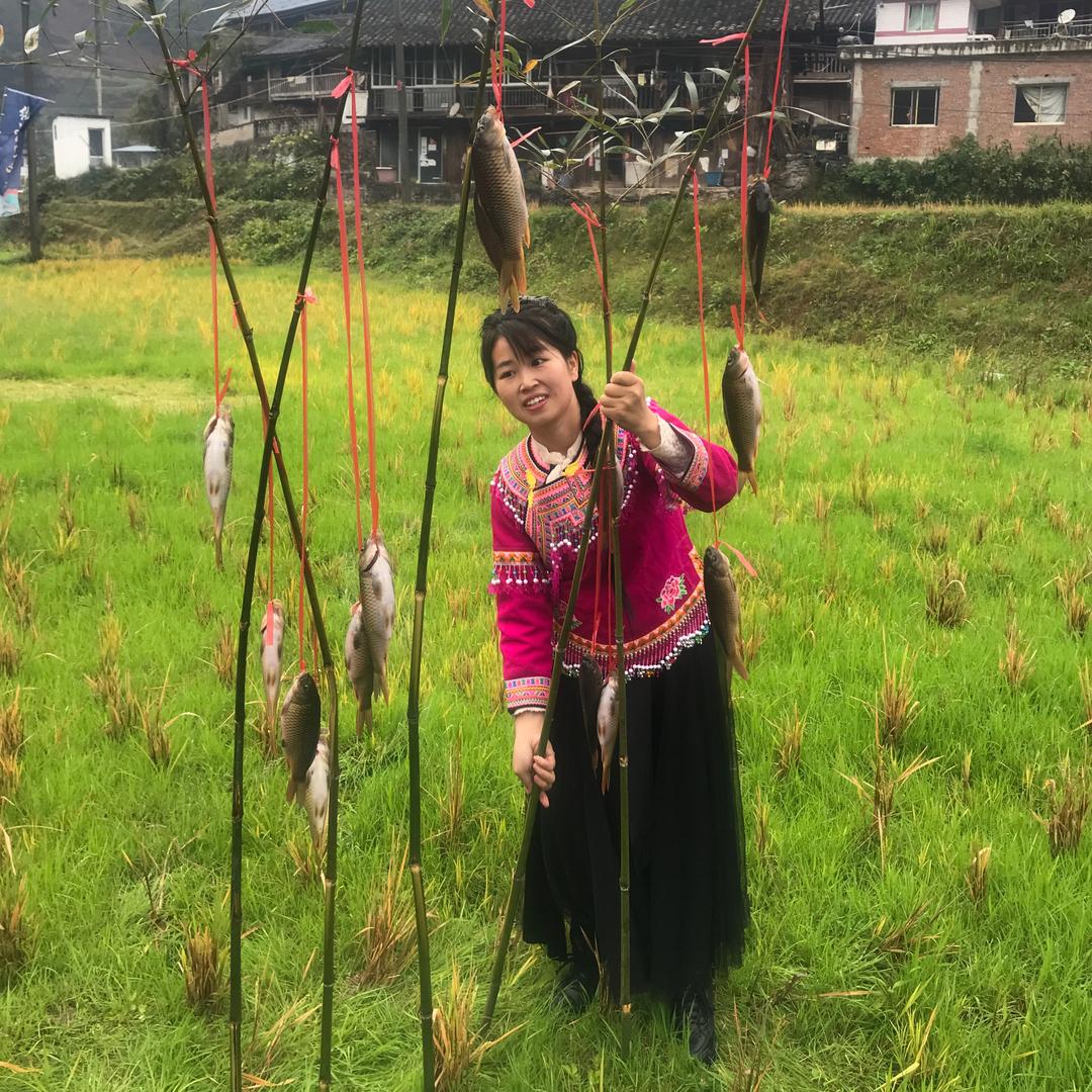 黔乡的乡村日记