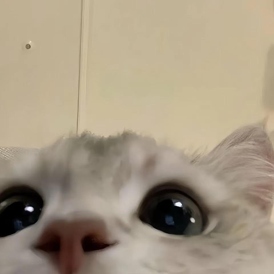 空痕-