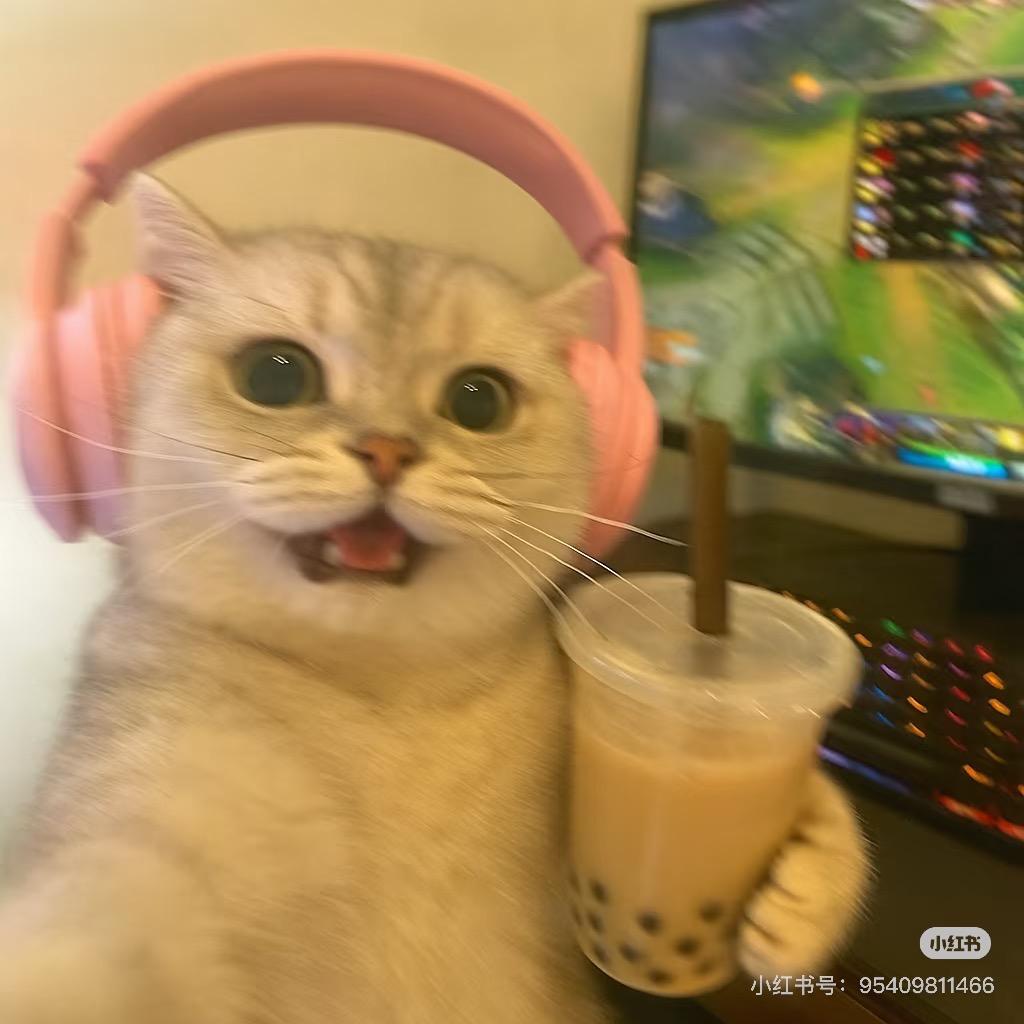 白某人带条狗（接代剪 编导）