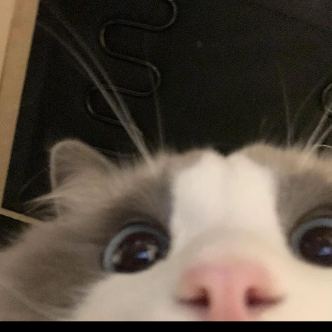 毒药。