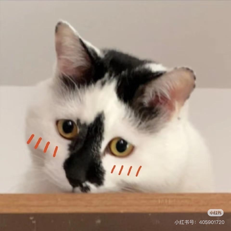 冒黑烟biubiu
