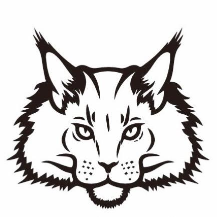 朏朏缅因猫舍（娱乐鉴猫）