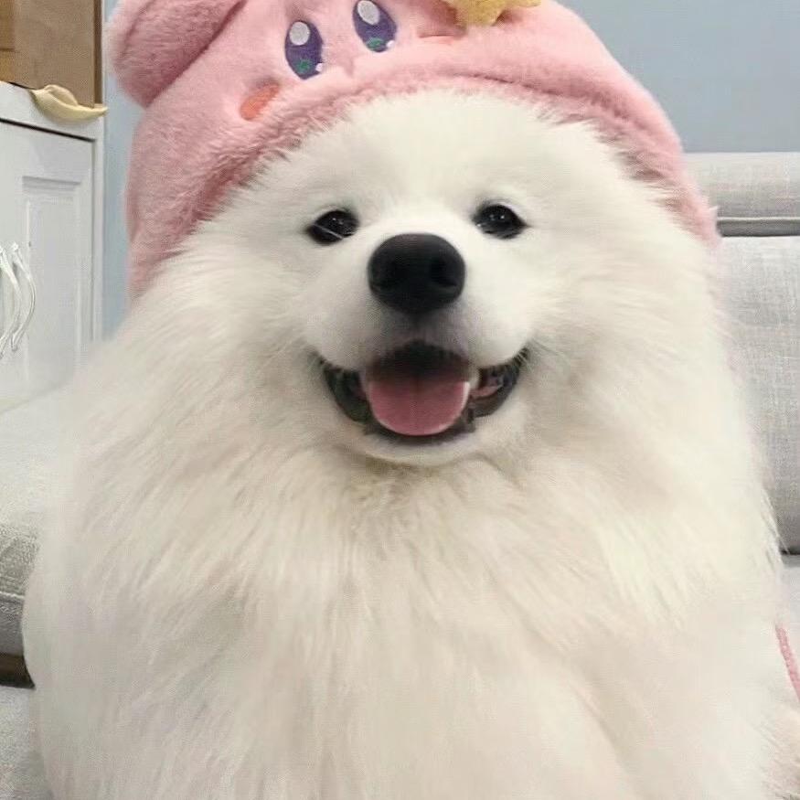 桃桃不淘气