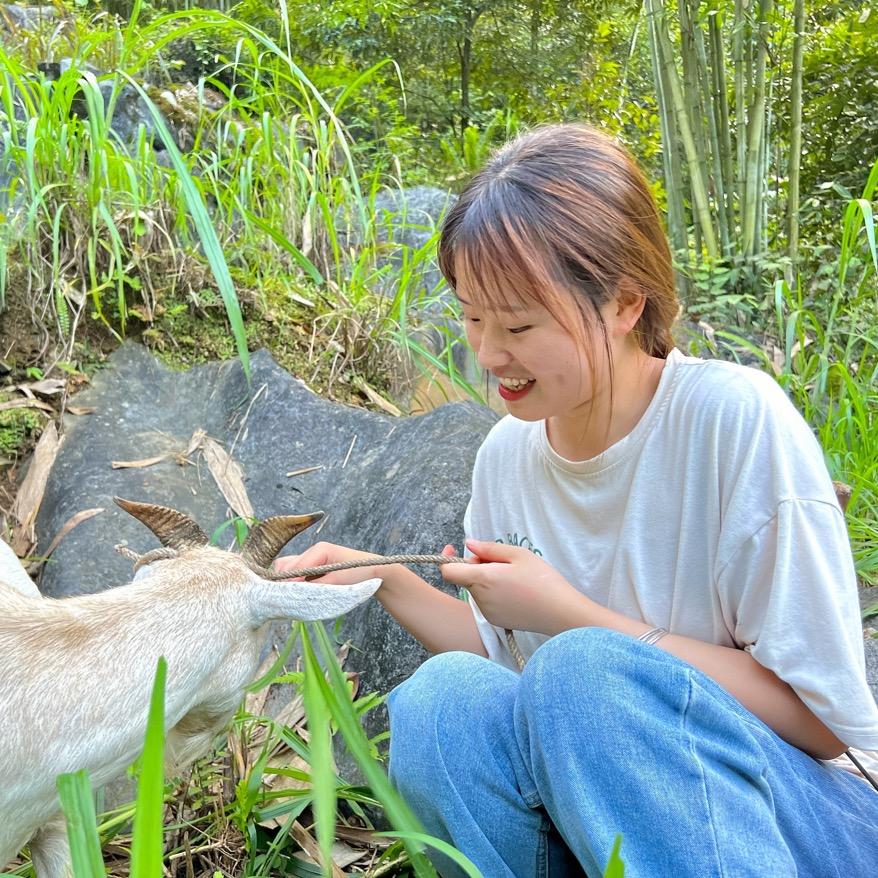 小酒窝的农村生活