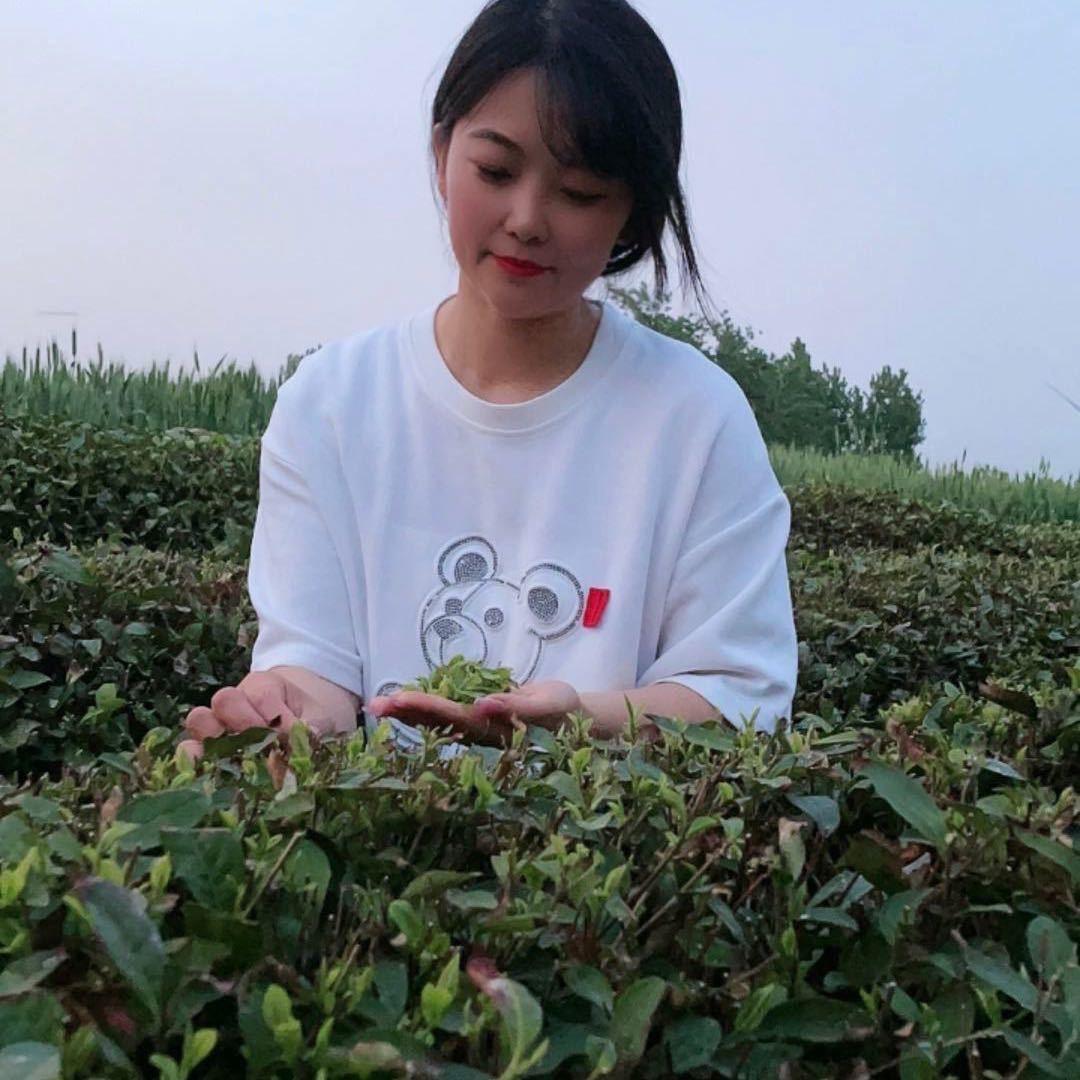 茶农小刘【上青茶业】