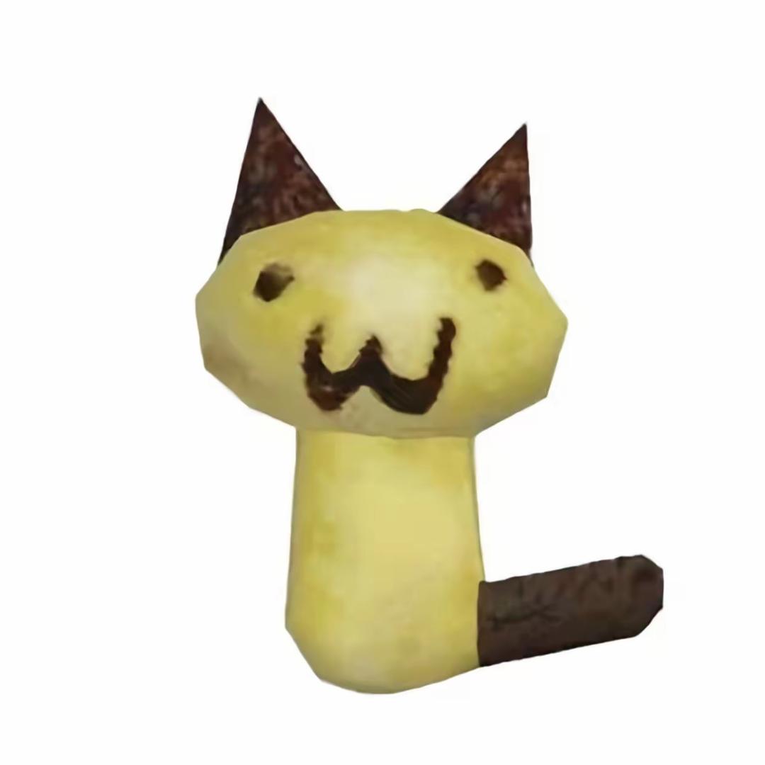 @洛阳游泳找皓祥