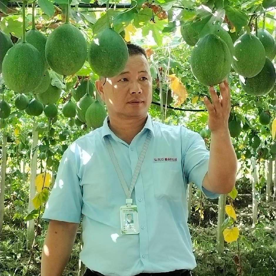 徽岳记老毕🔥