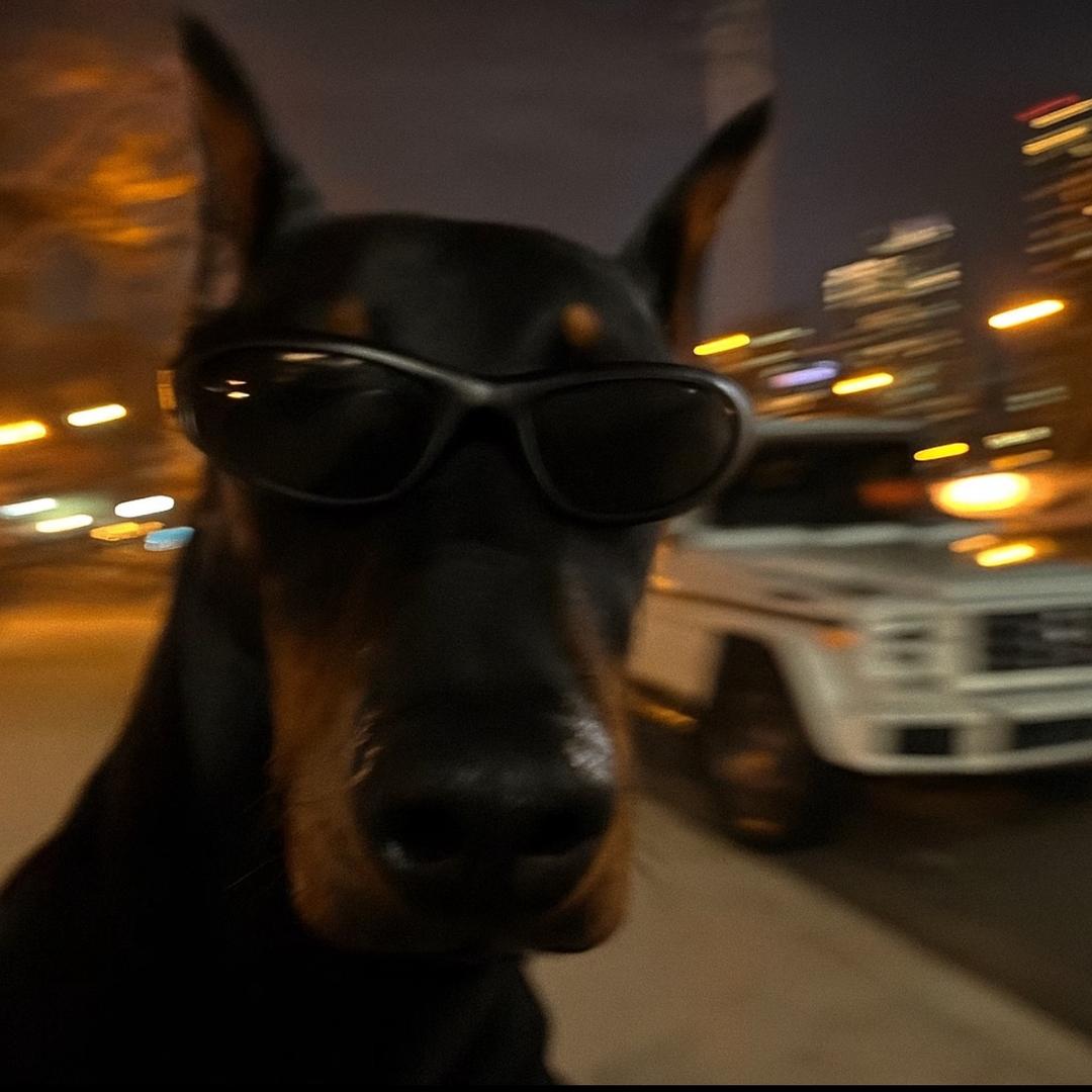 鹤鹤（技术主播）