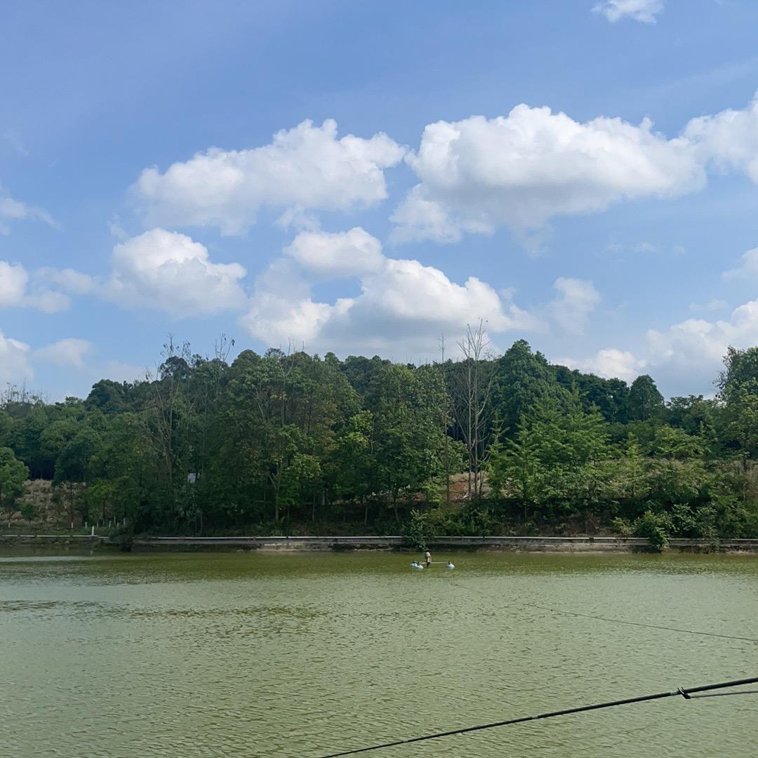 天府官塘垂钓基地-小李