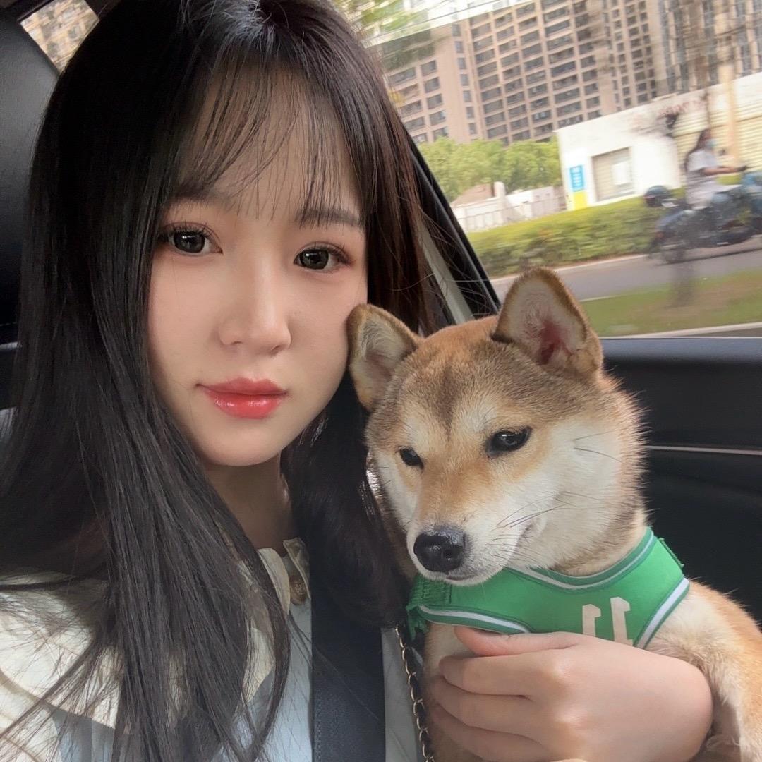 🍊小柚子🍊