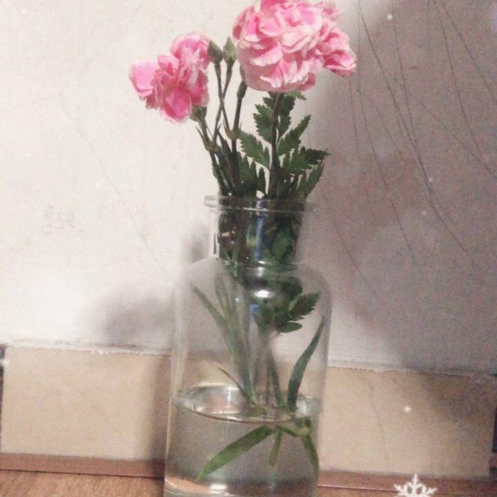 玉米