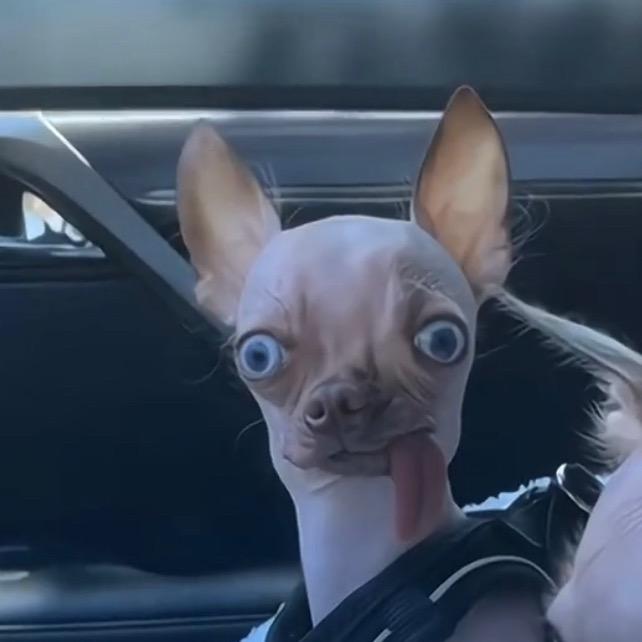 邹富贵🦦