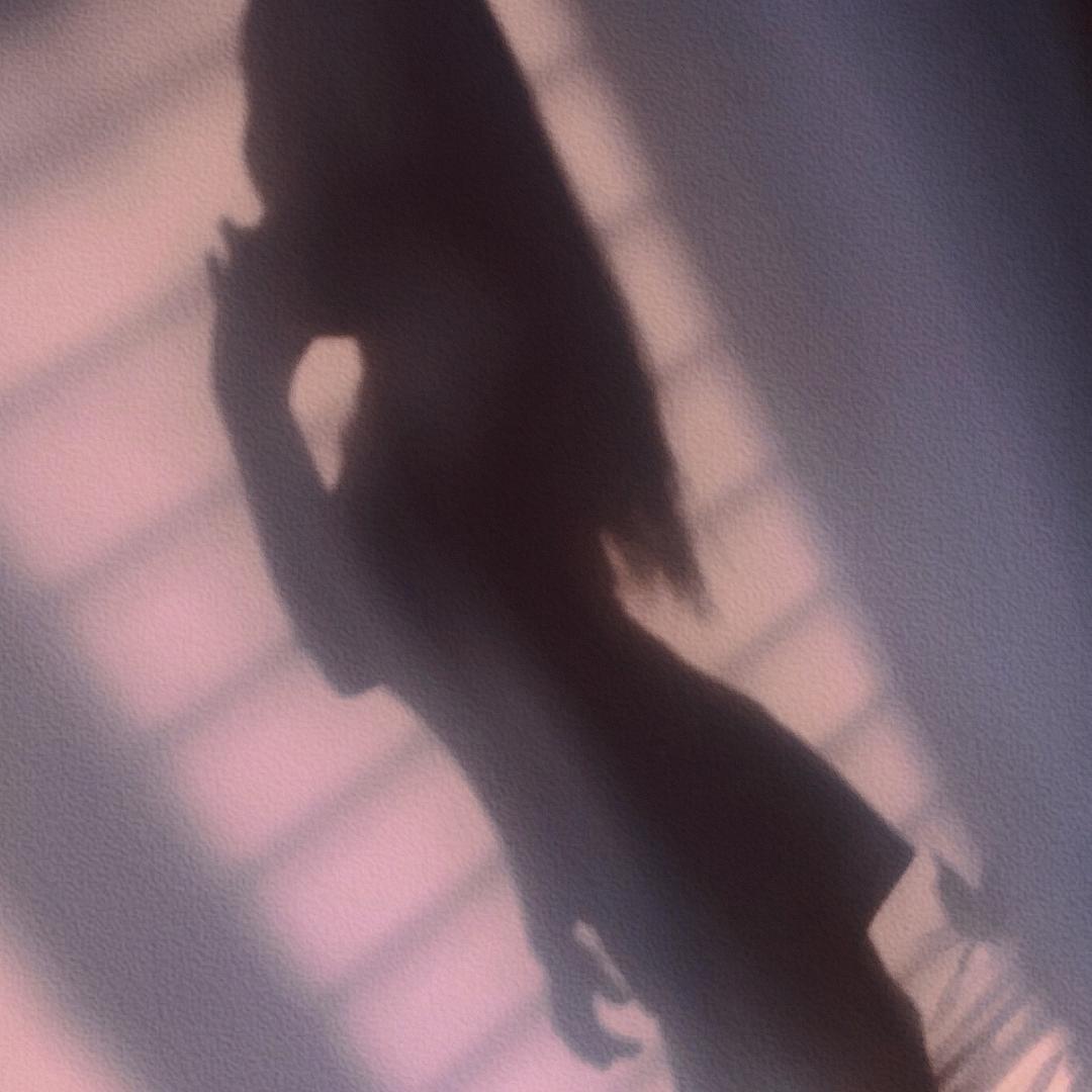 张张菇凉-天天向上