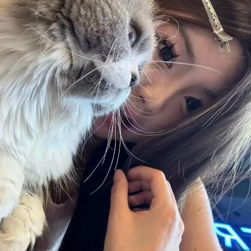 左耳