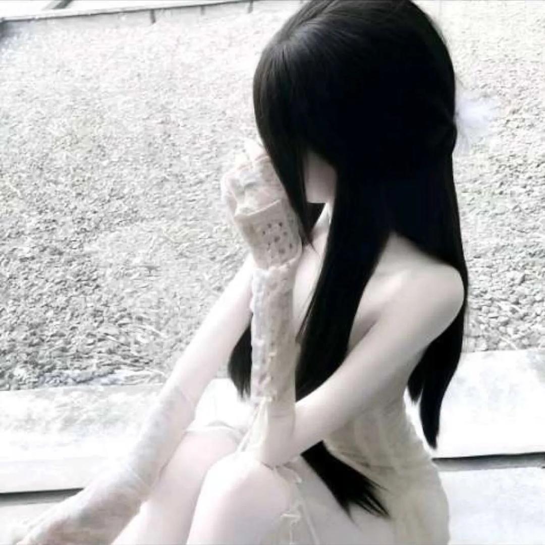 貓