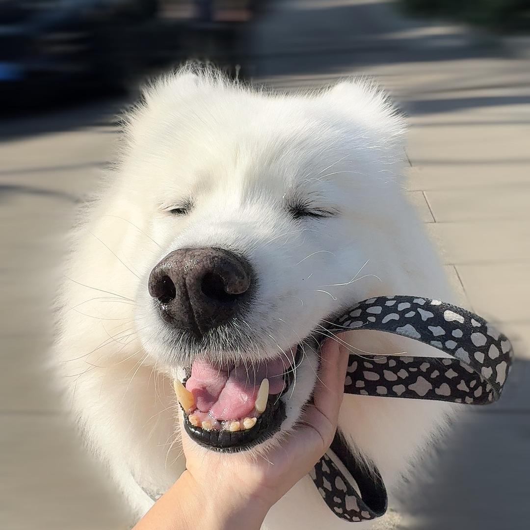 每天都要欧气😏