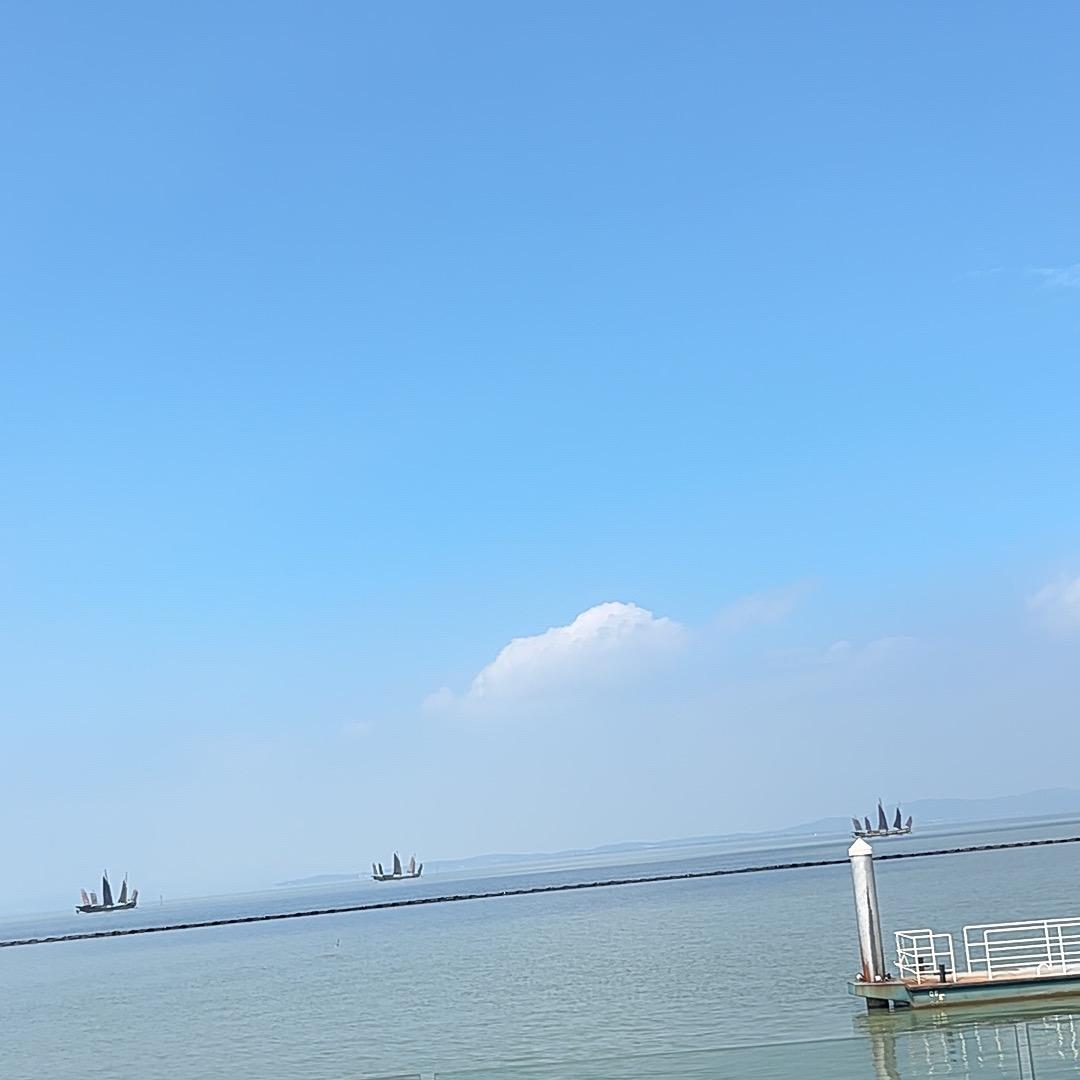 白茶清欢