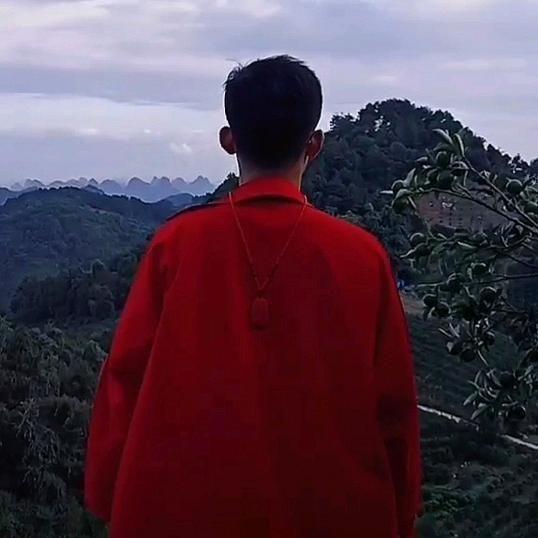 龙十一