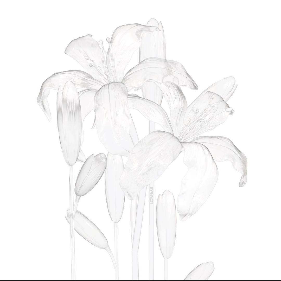 荒野诗